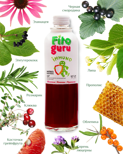 картинка Fitoguru Immuno Здоровое питание Фитогуру от интернет магазина Фитогуру.РФ фото 4