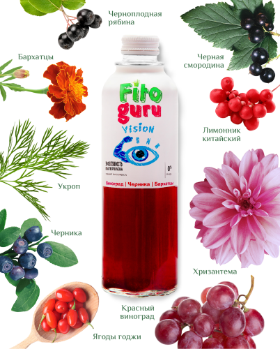 картинка Fitoguru Vision Здоровое питание Фитогуру от интернет магазина Фитогуру.РФ фото 4