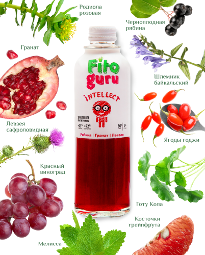 картинка Fitoguru Intellect  Здоровое питание Фитогуру от интернет магазина Фитогуру.РФ фото 4