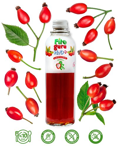 Fitoguru Water+ Immuno Шиповник
