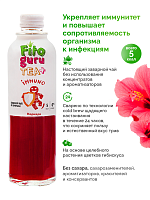 Fitoguru Чай+ Иммуно Каркаде